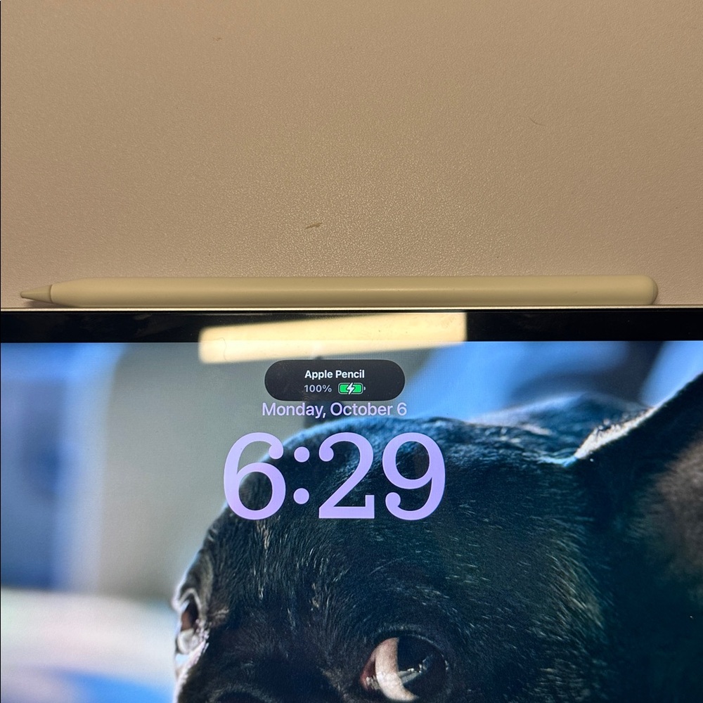 Apple Pencil (2nd Generation) - NO BOX - Picture 5 of 5